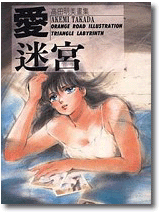 L'artbook Triangle Labyrinth